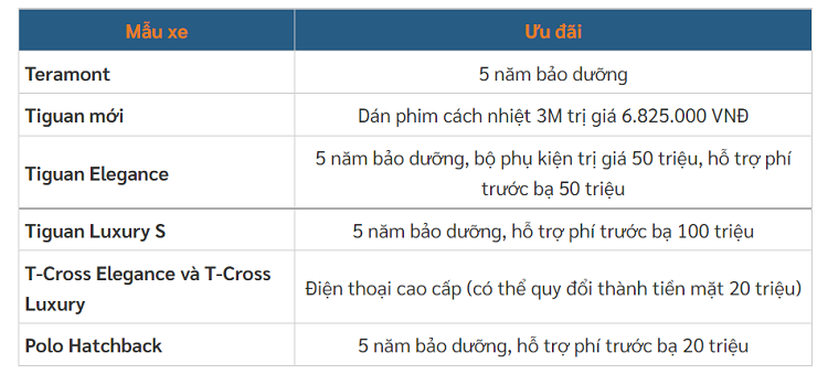 Volkswagen Teramont va Touareg tai Viet Nam tang gia ca tram trieu dong-Hinh-4