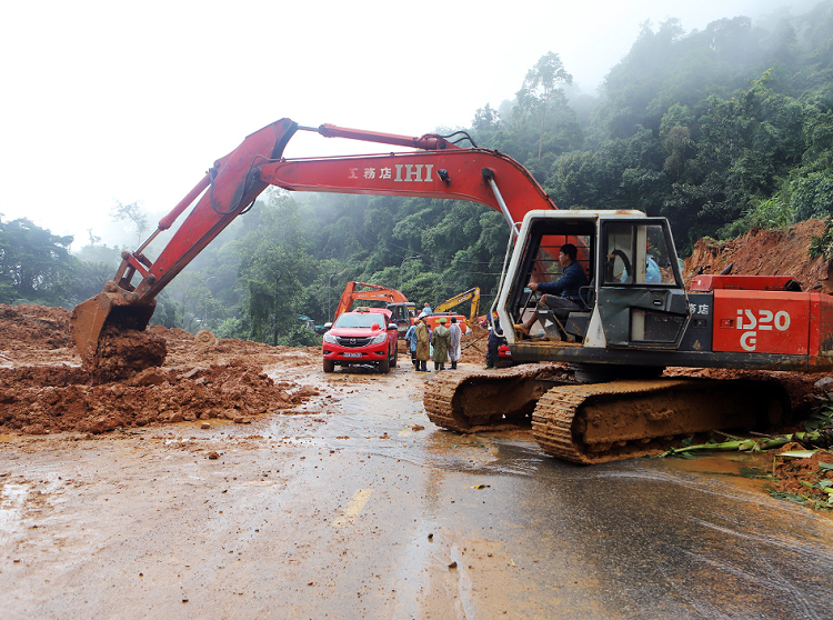 Doi trong sau rieng ngay diem sat lo tren deo Bao Loc co mot phan dat rung-Hinh-2