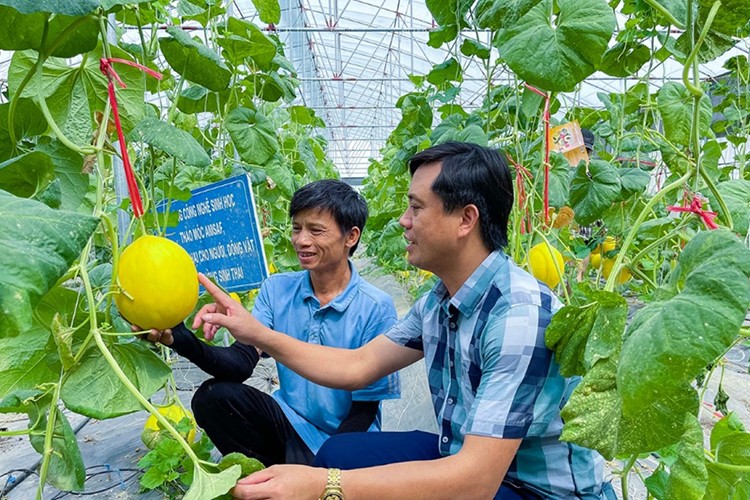 Ung dung CNTT, MTTQ Nghe An ket noi nguoi dan qua mang xa hoi-Hinh-4