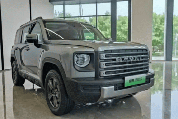 Haval Raptor hybrid tiet kiem xang, gia 528 trieu dong co ve Viet Nam?-Hinh-8