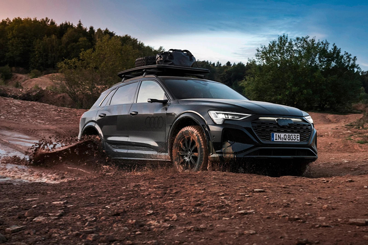 Chi tiet SUV dien Audi Q8 e-tron Dakar ban off-road gia 3,2 ty dong-Hinh-3