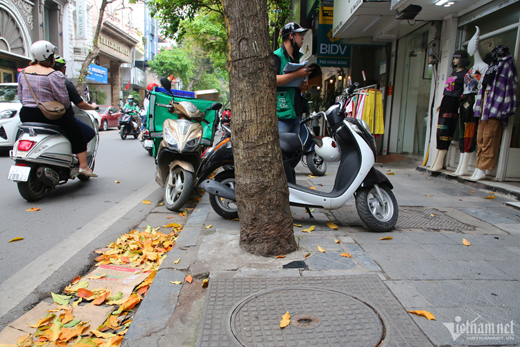 Muon kieu 'buc tu' cay xanh o Ha Noi-Hinh-7