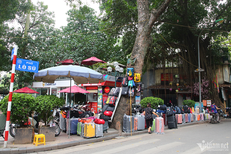 Muon kieu 'buc tu' cay xanh o Ha Noi-Hinh-9