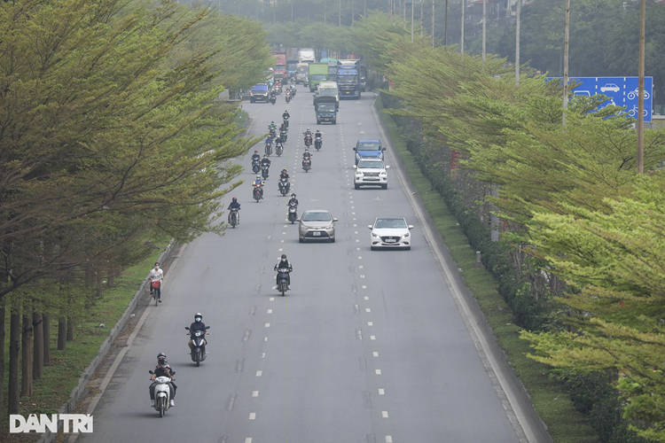 Choang ngop khong tin day la canh tuong hang cay Ha Noi-Hinh-3