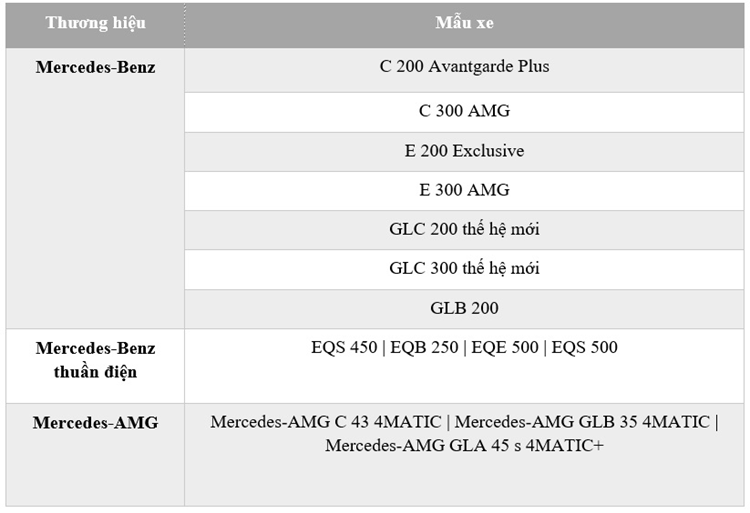 Mercedes-Benz Viet Nam to chuc chuoi su kien lai thu tren toan quoc-Hinh-4