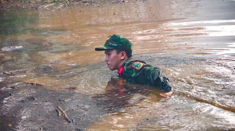 Toan canh chien dau voi 