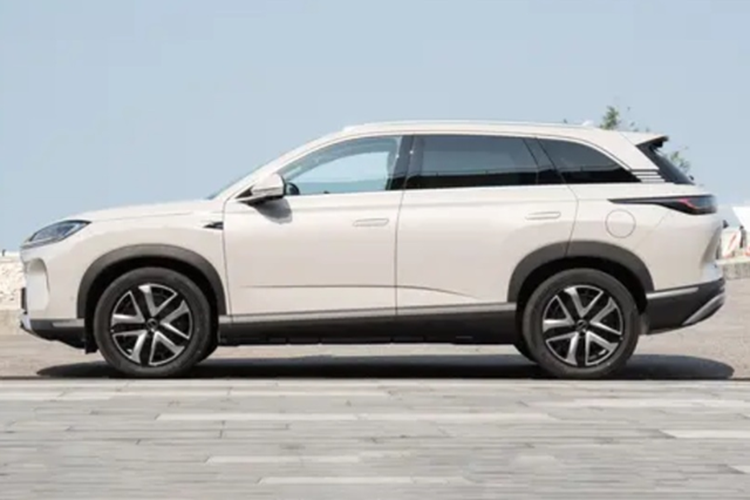 BYD Sealion 07 DM-i sap ve Viet Nam, co cua 