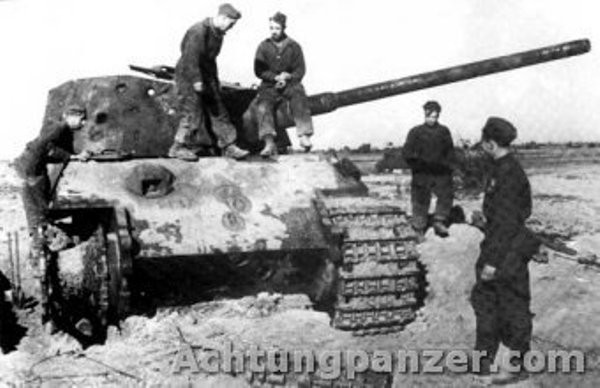 Xe tang Tiger II Duc: 