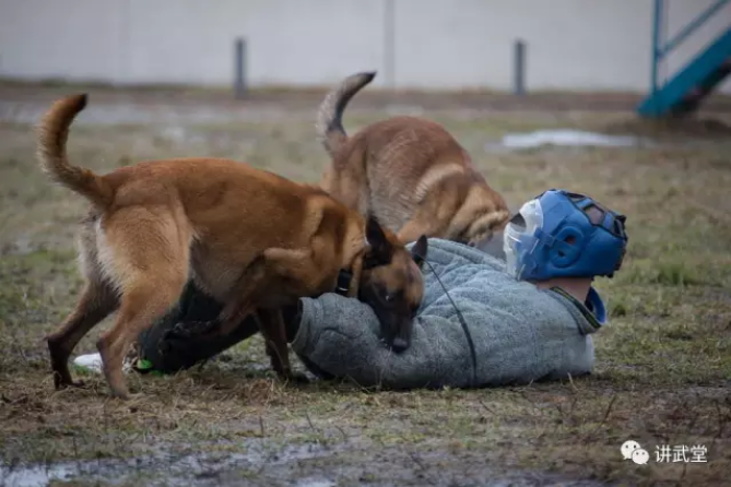 Dieu it ai biet ve chien binh cho cua Quan doi Nga-Hinh-3