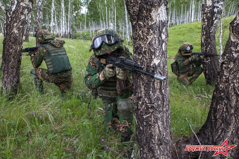 Muc kich dac nhiem Nga tro tai tac chien chong khung bo-Hinh-8