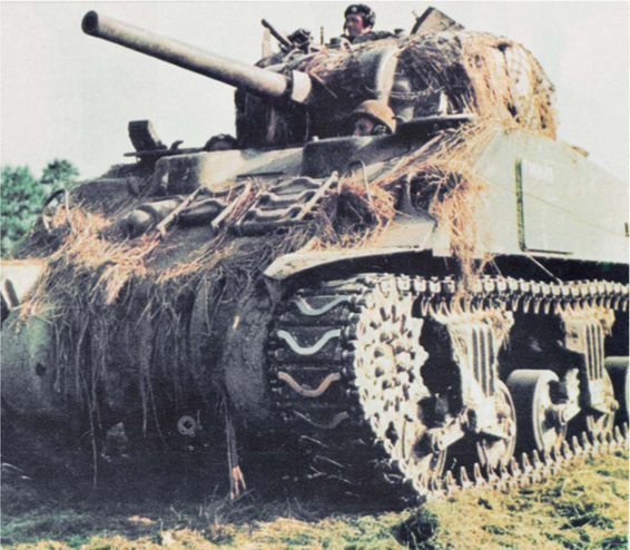 Giai ma &quot;soc&quot;: Linh Lien Xo thich tang M4 Sherman hon T-34-Hinh-6