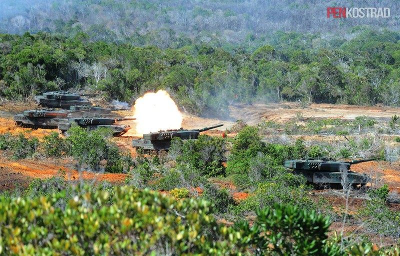 Can canh sieu tang Leopard 2RI cua lang gieng Indonesia-Hinh-3