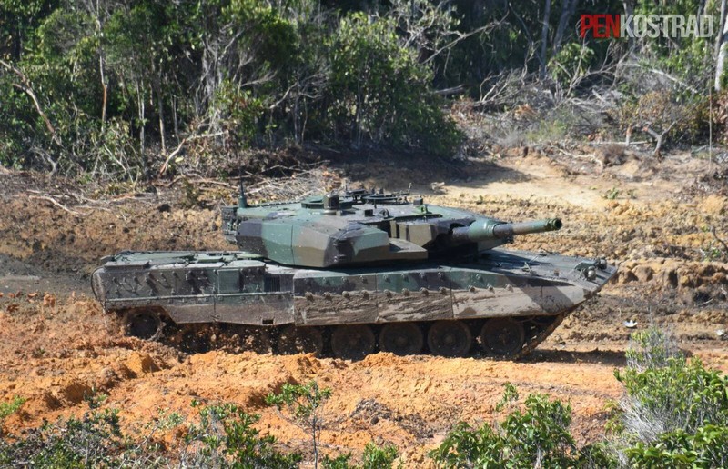 Can canh sieu tang Leopard 2RI cua lang gieng Indonesia-Hinh-5