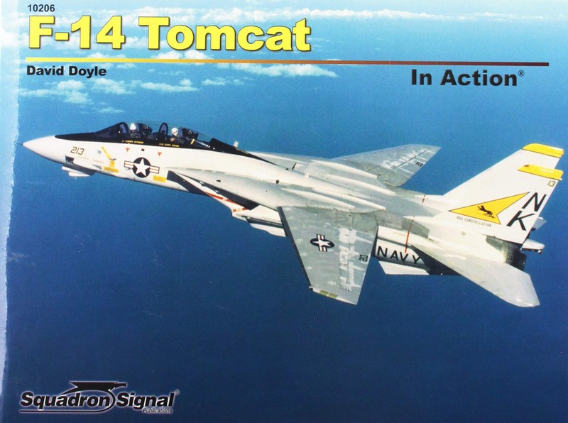 Tai sao huyen thoai tiem kich ham “Meo duc” F-14 bi that sung?-Hinh-2