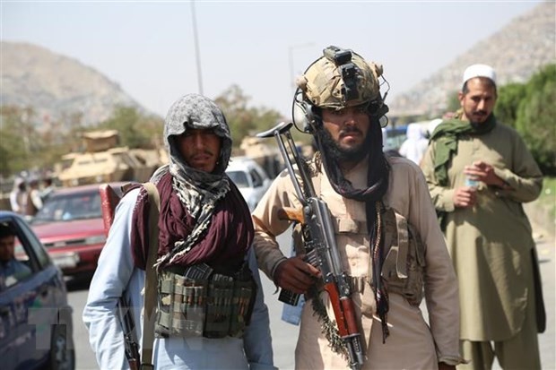 Al Qaeda da tro lai, Afghanistan la mot that bai lich su cua NATO-Hinh-3