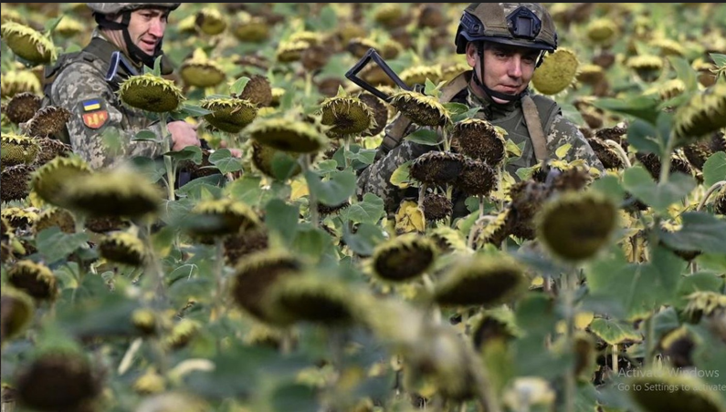 Chien luoc cua Ukraine tai Donbas nham “vat kiet” quan Nga-Hinh-8