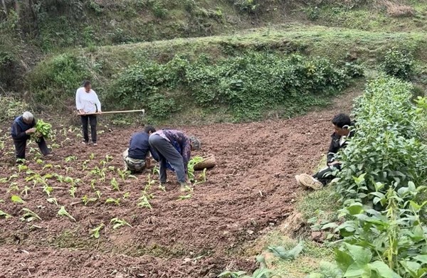 Vo di ve sinh roi mat tich, hoa ra gap chuyen ron nguoi-Hinh-10