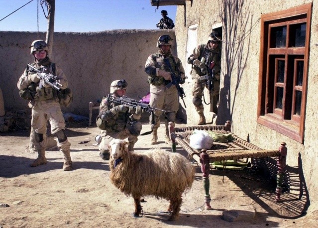 NATO va cac chien dich gay dau an-Hinh-11