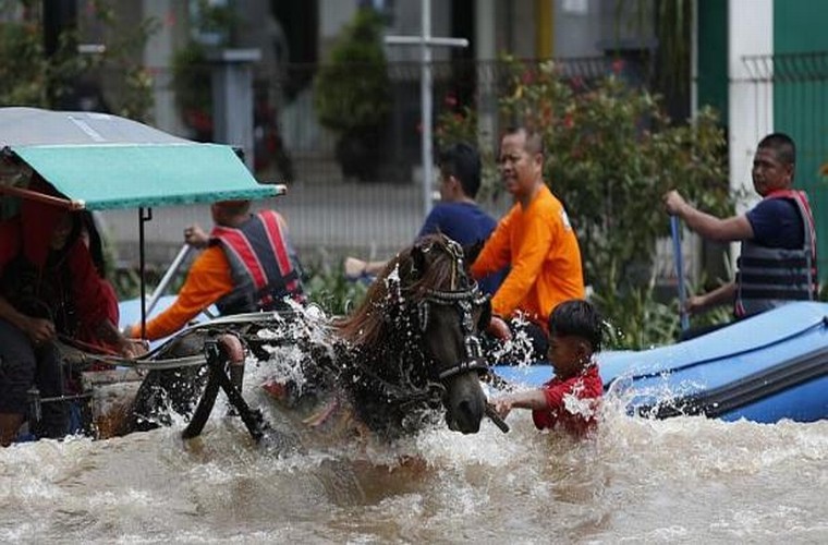 Lut loi kinh hoang o Jakarta, Indonesia-Hinh-12