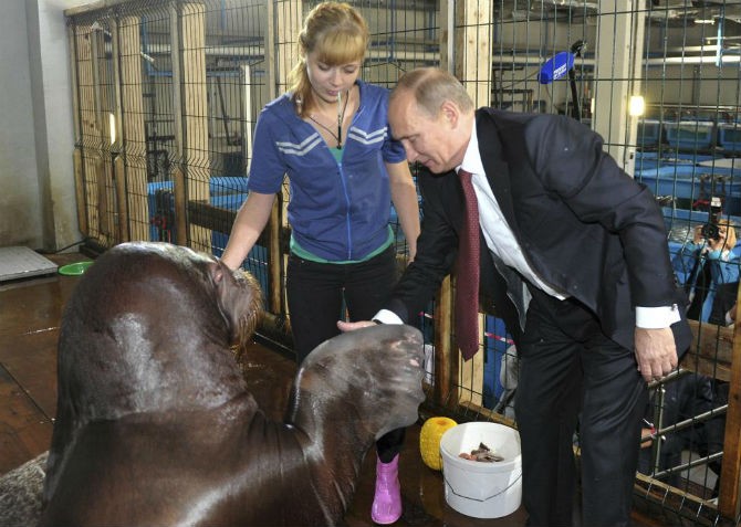 Tong thong Nga Putin va tinh yeu danh cho dong vat-Hinh-8