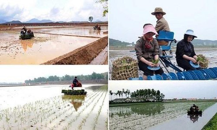 Soi cuoc song binh di o nong thon cac nuoc tren the gioi-Hinh-3