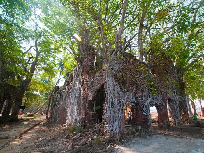 Dot nhap dao hoang tung la nha tu khet tieng o An Do-Hinh-10