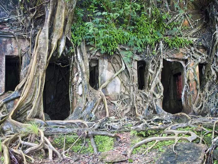 Dot nhap dao hoang tung la nha tu khet tieng o An Do-Hinh-3