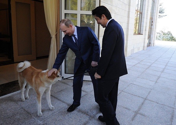 Nhung chu cho noi tieng cua Tong thong Vladimir Putin-Hinh-5