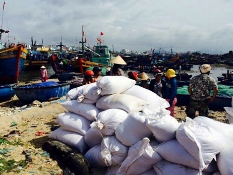 Lam ro tau Hai Truong 36 co bi hoi cua hay khong