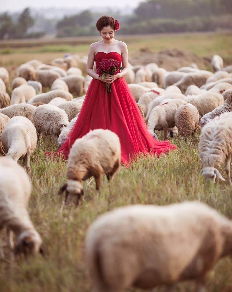 Bộ ảnh cưới đàn cừu - một bộ tuyệt đẹp mang đậm phong cách thiên nhiên. Với các khung cảnh trong lành, hoang sơ và đơn giản, các đôi uyên ương sẽ trở nên rất rực rỡ và đáng yêu trong ngày trọng đại của cuộc đời. Hãy cùng xem bộ ảnh đáng yêu này nhé!