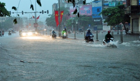 Quang Ninh van chim trong bien nuoc, hang chuc nguoi thiet mang