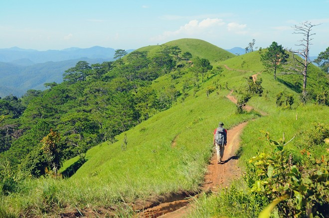 Bang rung tren cung duong trek dep nhat Viet Nam-Hinh-6