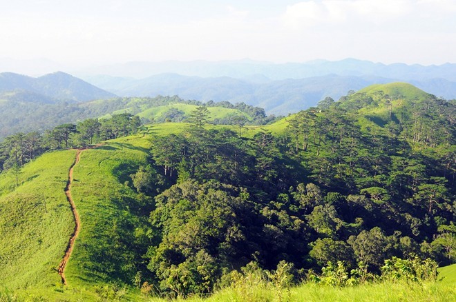 Bang rung tren cung duong trek dep nhat Viet Nam-Hinh-7