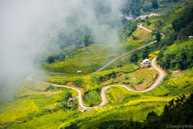 Ngam cung duong Sa Pa - Y Ty dep ruc ro mua lua chin-Hinh-12