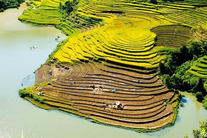 Ngam cung duong Sa Pa - Y Ty dep ruc ro mua lua chin-Hinh-14