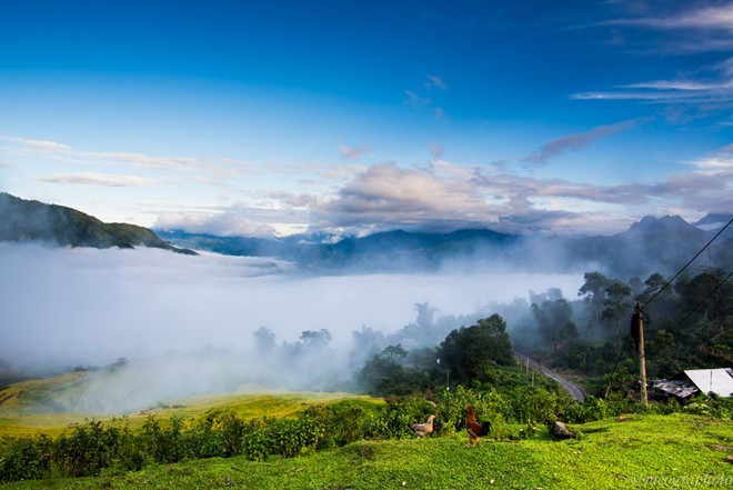 Ngam cung duong Sa Pa - Y Ty dep ruc ro mua lua chin-Hinh-6