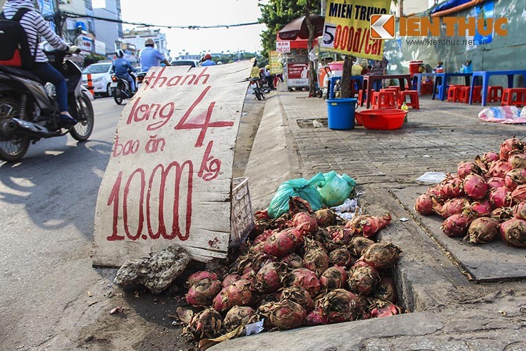 Ao at ban thao thanh long gia re giat minh 2.000 dong/kg-Hinh-5