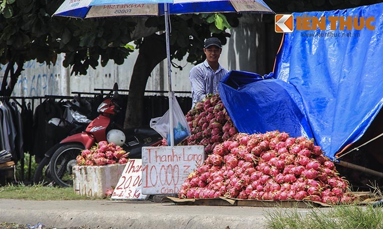 Ao at ban thao thanh long gia re giat minh 2.000 dong/kg-Hinh-8