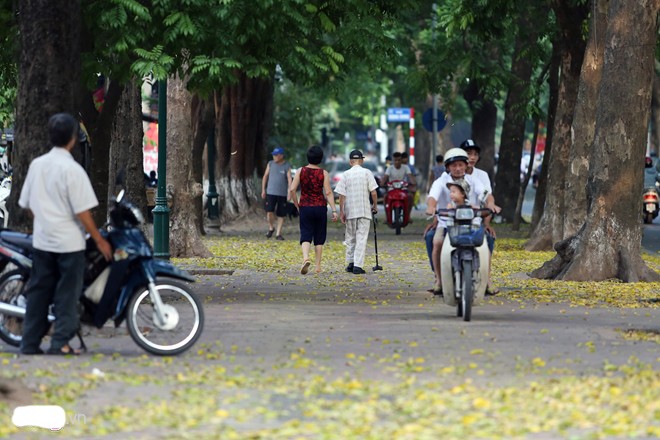 Ngam Ha Noi mua thu dep nao long-Hinh-7