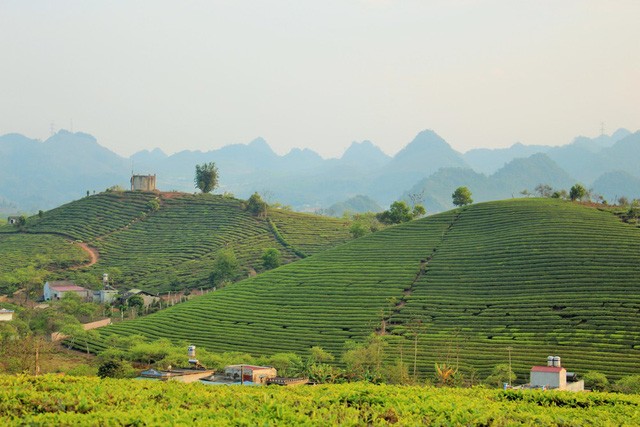 Tam su dang suy ngam cua nguoi vo trot ngoai tinh vi chong dau om