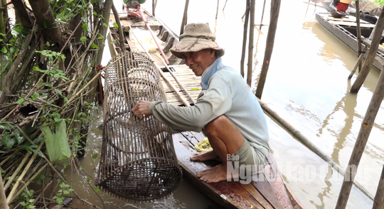 Thuc tu 2 gio sang di “san” san vat mua nuoc noi-Hinh-11