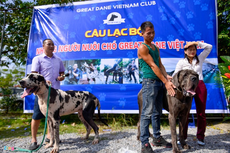 Cho khong lo hon 100 kg xuat hien o Ha Noi