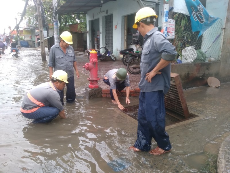 TP.HCM: Dan bat luc nhin tai san ngap trong bien nuoc-Hinh-10