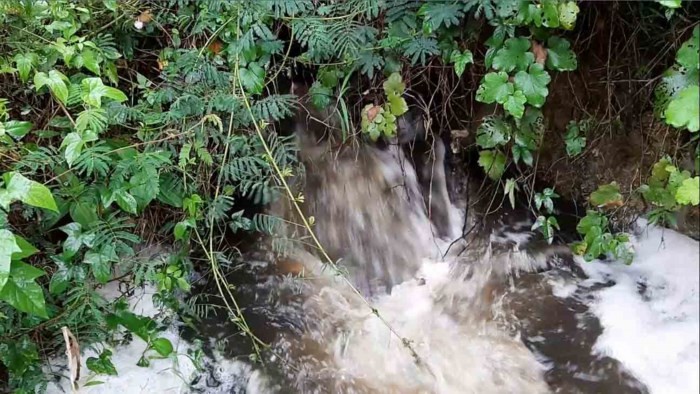 Trai bo Hoa Phat loi dung troi mua xa thai 