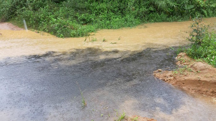 Trai bo Hoa Phat loi dung troi mua xa thai 