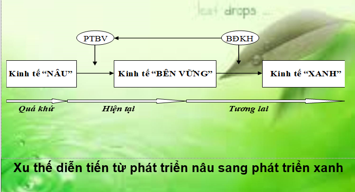 Kinh te xanh: Xu the trong phat trien ben vung va ung pho voi bien doi khi hau-Hinh-3