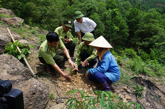 Chien luoc quoc gia ve ung pho bien doi khi hau va phat trien ben vung-Hinh-2