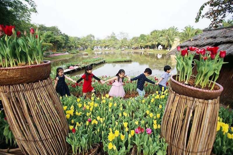 Nguoi dan do xo di ngam canh dong hoa tulip Ha Lan tai Ha Noi-Hinh-12