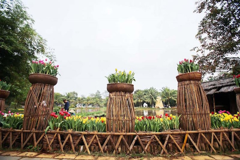 Nguoi dan do xo di ngam canh dong hoa tulip Ha Lan tai Ha Noi-Hinh-14