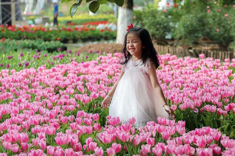 Nguoi dan do xo di ngam canh dong hoa tulip Ha Lan tai Ha Noi-Hinh-4